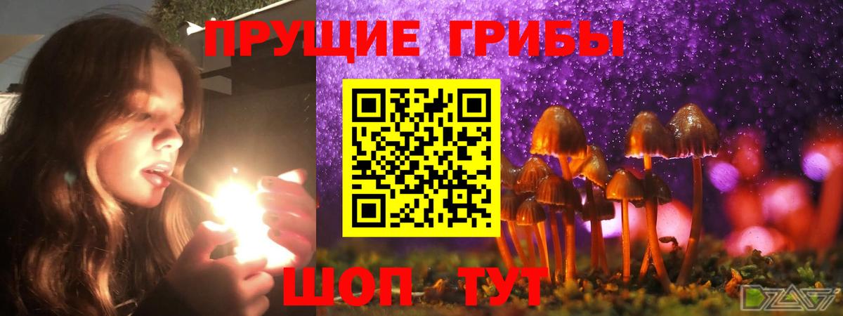 Галлюциногенные грибы Psilocybine cubensis  наркота  Кувандык  Вход с VPN 